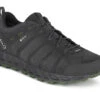 Aku Rapida EVO GTX (anthracite/green)
