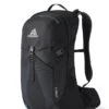 Gregory Citro 24 Rucksack (ozone-black)