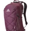 Gregory Kiro 22 Rucksack (amethyst-purple)
