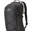 Gregory Kiro 22 Rucksack (obsidian-black)