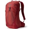 Gregory Miko 20 Rucksack (sumac-red)