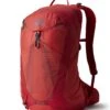 Gregory Miko 25 Rucksack (sumac-red)