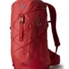 Gregory Miko 30 Rucksack (sumac-red)