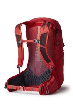 Gregory Miko 30 Rucksack (sumac-red) -Hanwag Verkauf Gregory Miko 30 Rucksack sumac red D 145277 9973 Bild 2
