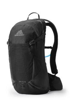 Gregory Salvo 16 Rucksack (ozone-black)