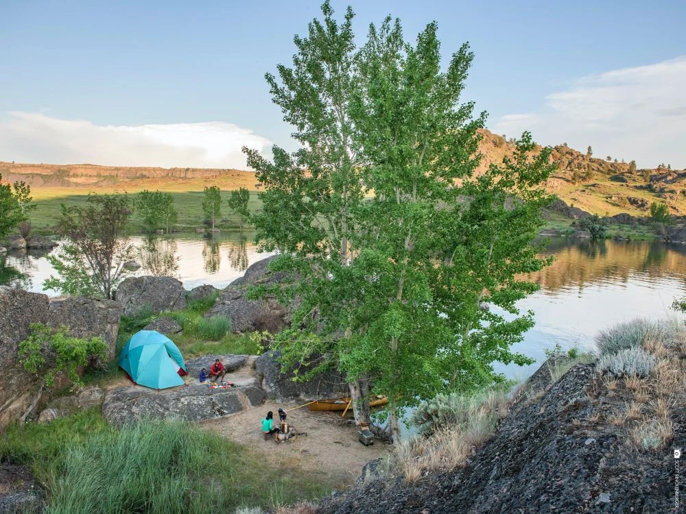 MSR Habitude 4 Zelt (blue) 7 MSR Habitude 4 Zelt (blue) – Bild 7