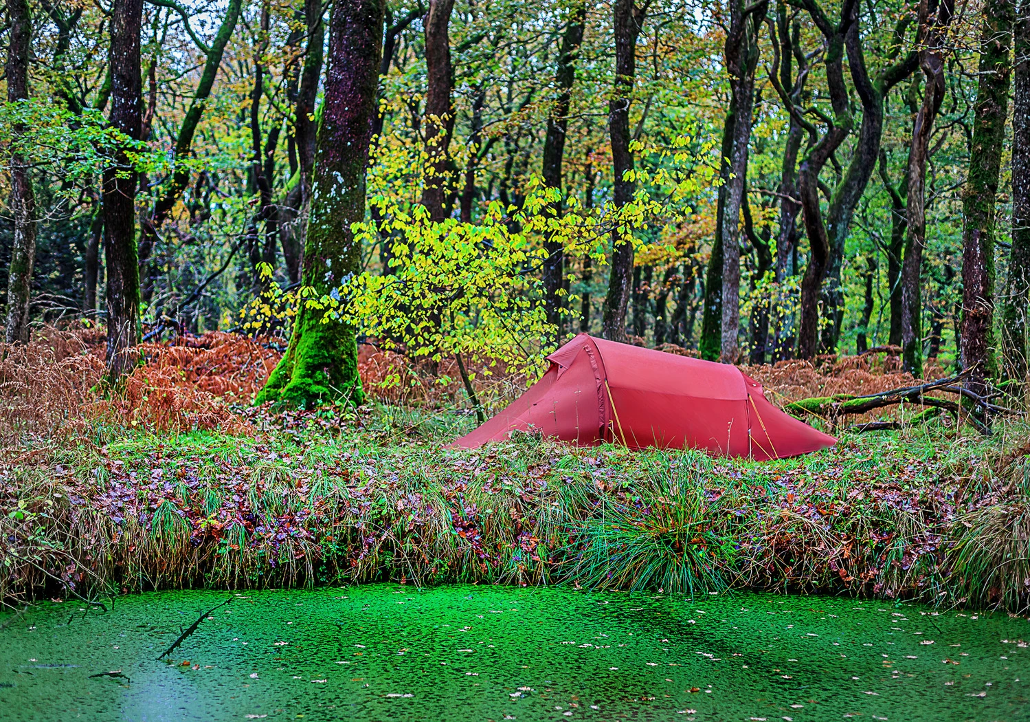 Nordisk Halland Lightweight 2-Personen Zelt (burnt-red) 2 Nordisk Halland Lightweight 2-Personen Zelt (burnt-red) – Bild 2