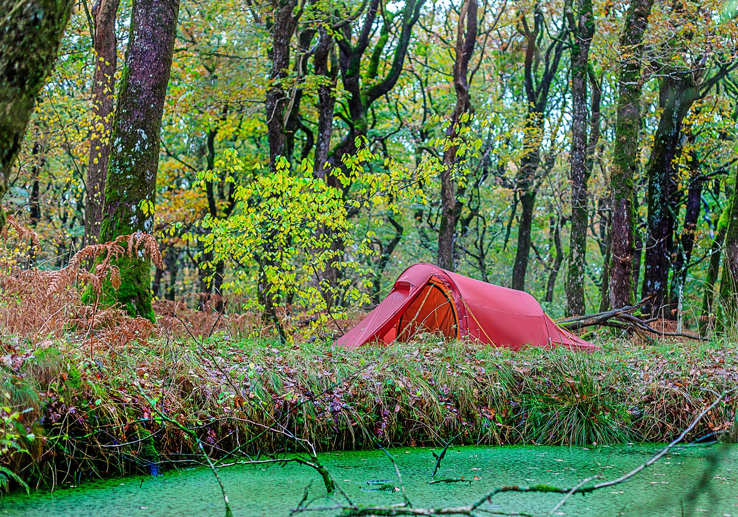 Nordisk Halland Lightweight 2-Personen Zelt (burnt-red) 5 Nordisk Halland Lightweight 2-Personen Zelt (burnt-red) – Bild 5