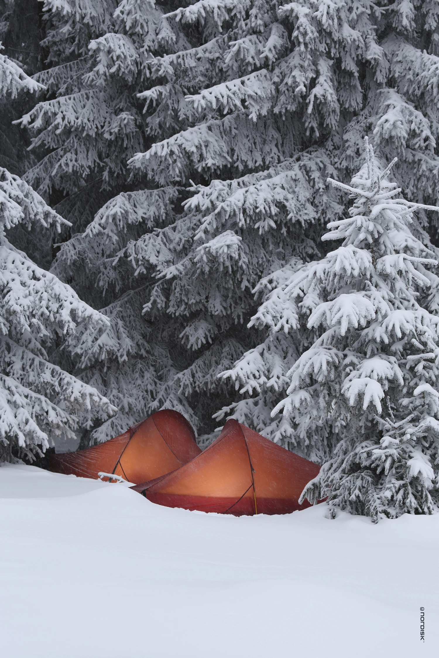 Nordisk Telemark Lightweight 1-Personen Zelt (burnt-red) 2 Nordisk Telemark Lightweight 1-Personen Zelt (burnt-red) – Bild 2