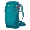 Salewa Alp Trainer 20 Ws Rucksack (malta)