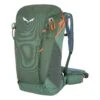 Salewa Alp Trainer 25 Rucksack (duck-green)