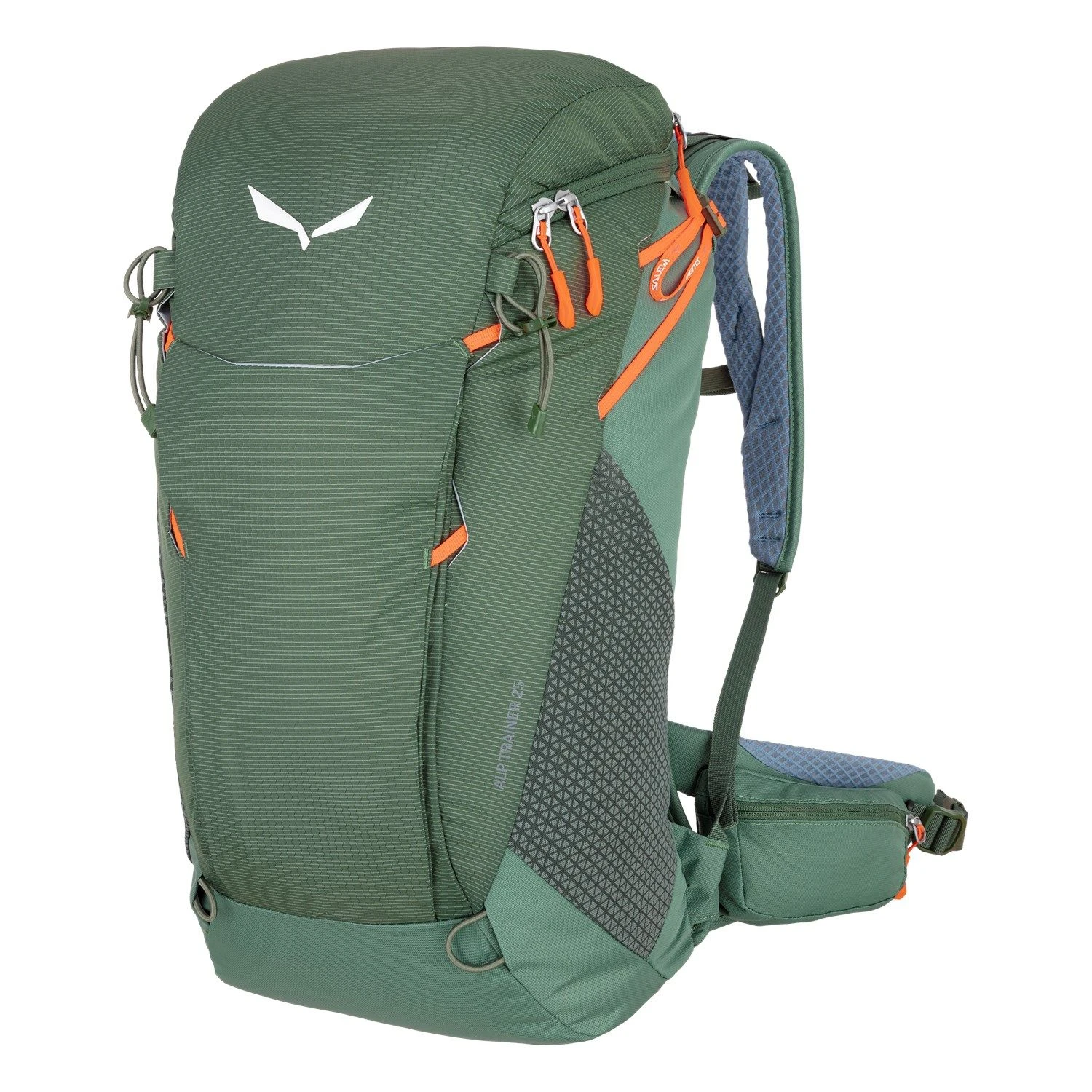 Salewa Alp Trainer 25 Rucksack (duck-green) 1 Salewa Alp Trainer 25 Rucksack (duck-green)