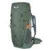 Salewa Alp Trainer 35+3 Rucksack (duck-green)