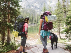 Thermarest Z-Lite SOL Regular Isomatte (limon/silver) -Hanwag Verkauf Thermarest Z Lite SOL Regular Isomatte limon silver D 06670 Bild 5