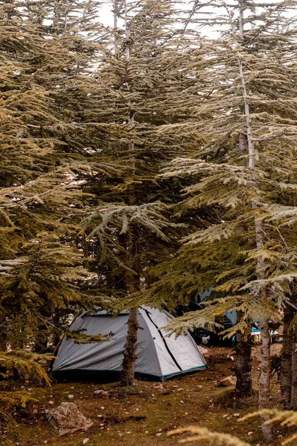 Hanwag Verkauf -Hanwag Verkauf pexels photo 17755006